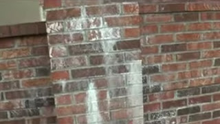 Presence soluble salt or Efflorescence on brick