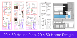 20 × 50 House Plan