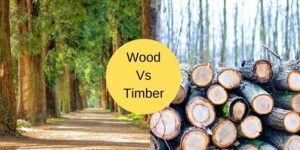 Difference Between Wood And Timber